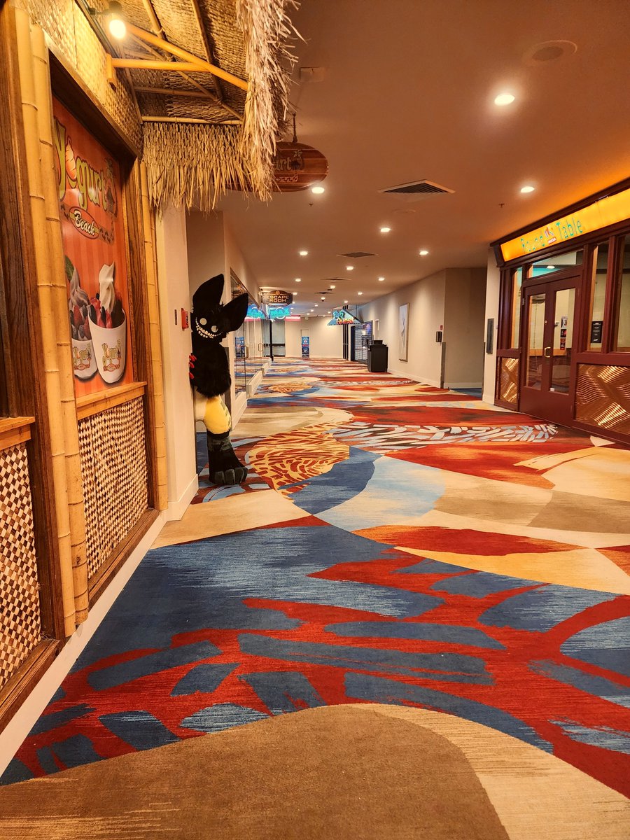 MassSeagulls's tweet photo. ROOMY appreciates all the love she got 🎥
#fursuits #BLFC2026 https://t.co/3GWleHurmD