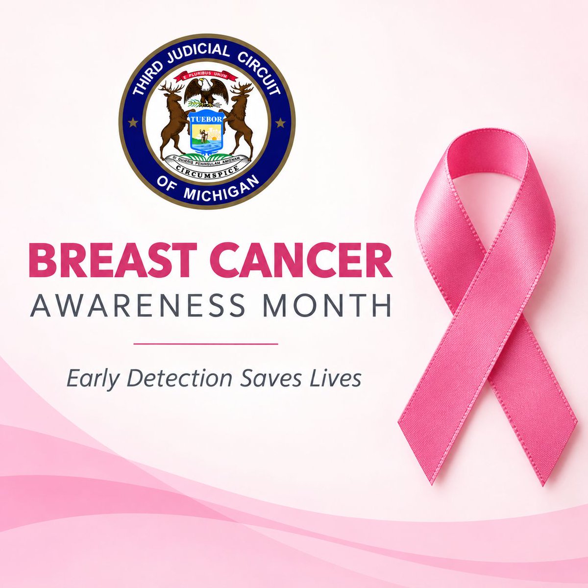 3rdccorg's tweet photo. 🎀 Breast Cancer Awareness Month: Knowledge, Support and Early Detection Matter

💗 This October and throughout the year, let’s prioritize health, encourage early detection and stand with everyone affected by breast cancer.

#BreastCancerAwarenessMonth #EarlyDetection https://t.co/tp6unrEwCM