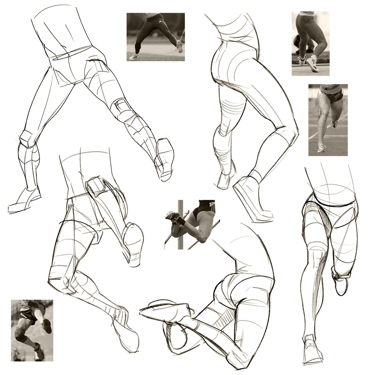 OSporin's tweet photo. new anatomy drawing demo vid is up on the patreoon https://t.co/t48X38gNu7