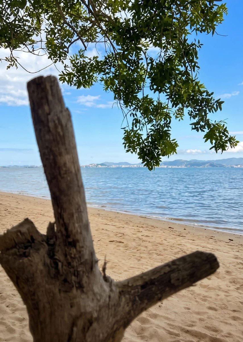 detremura's tweet photo. A natureza é sábia https://t.co/D7iQo53qcI