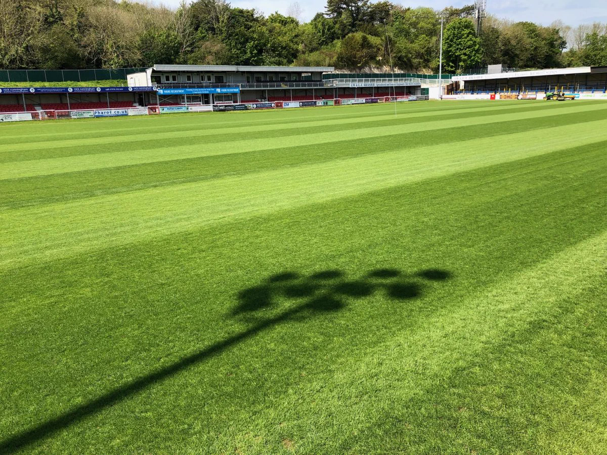 Leap like a Salmon Jase! on X: "@DorkingWDRS So disappointing to hear ...