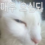 Photo by 잘생긴변호사재출연시켜주세요 (@BringMeHsLy)