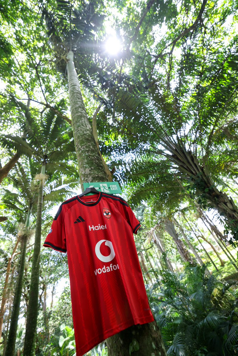 AlAhly's tweet photo. حلق عالي يا نسر الأهلي 🦅😍 https://t.co/oFMrGf7Xnx