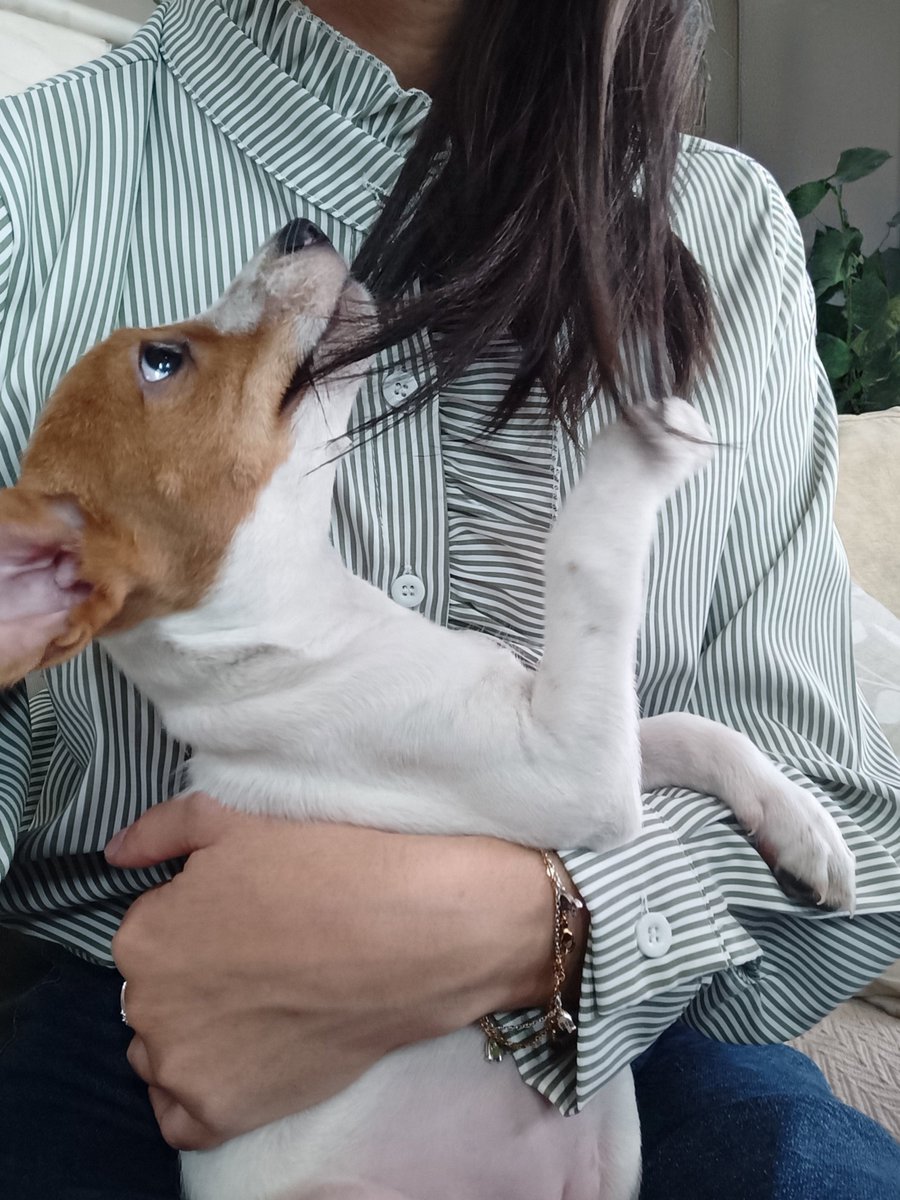 ESanchezLR's tweet photo. De visita por el pueblo he hecho una nueva amiga 🌙 https://t.co/U6DYQ0bbnH