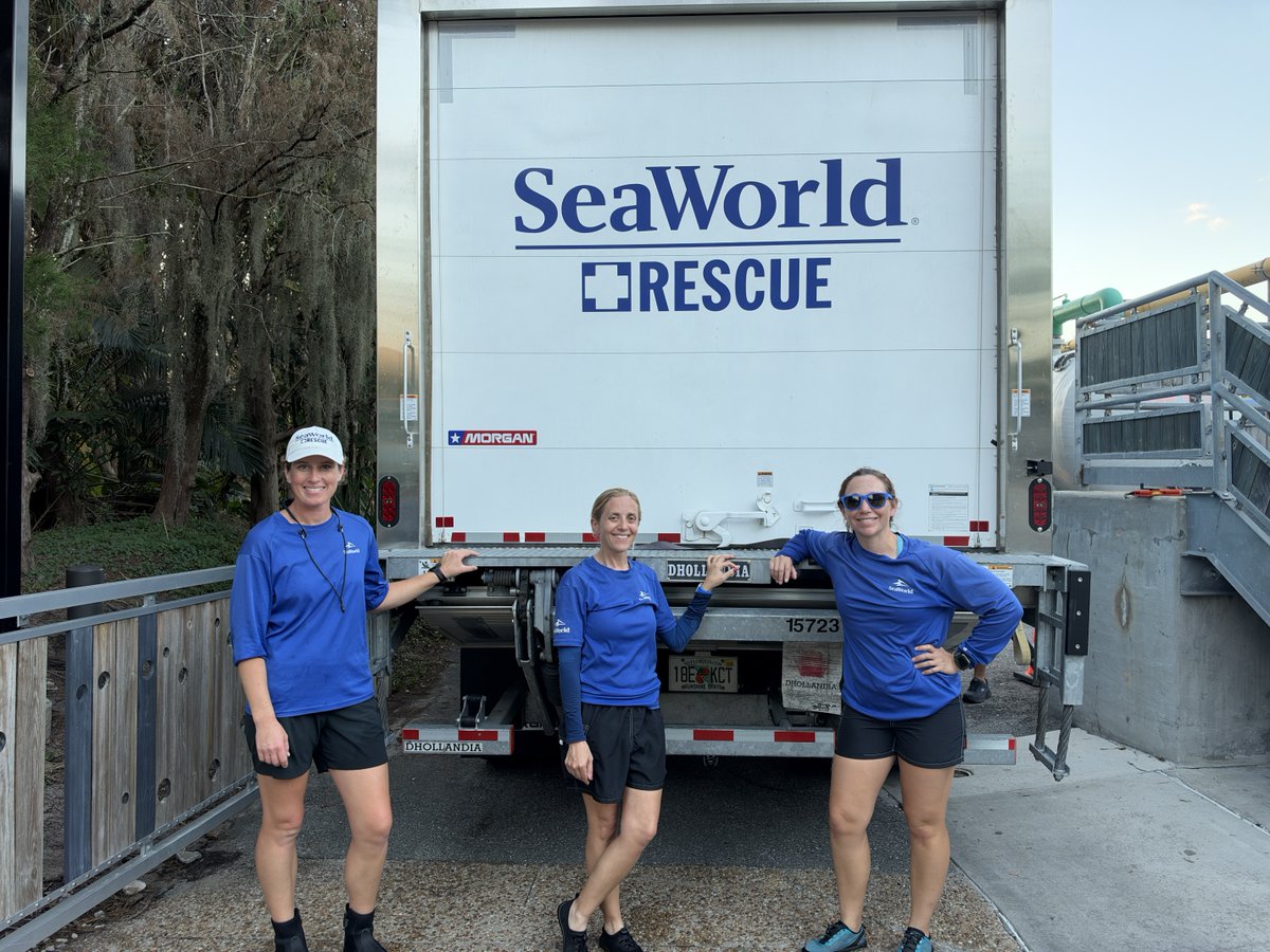 SeaWorld tweet picture