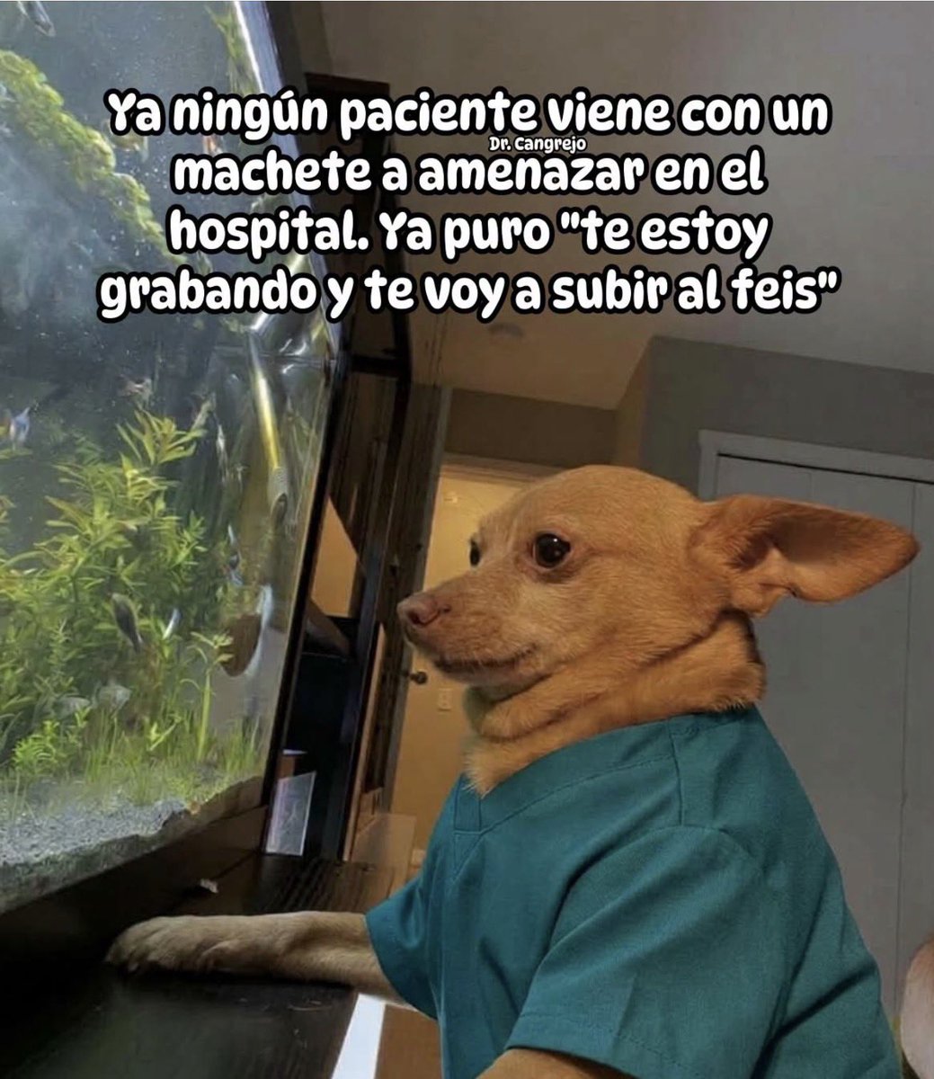 daphnella's tweet photo. Se están perdiendo las tradiciones https://t.co/4ki4TcyXWv