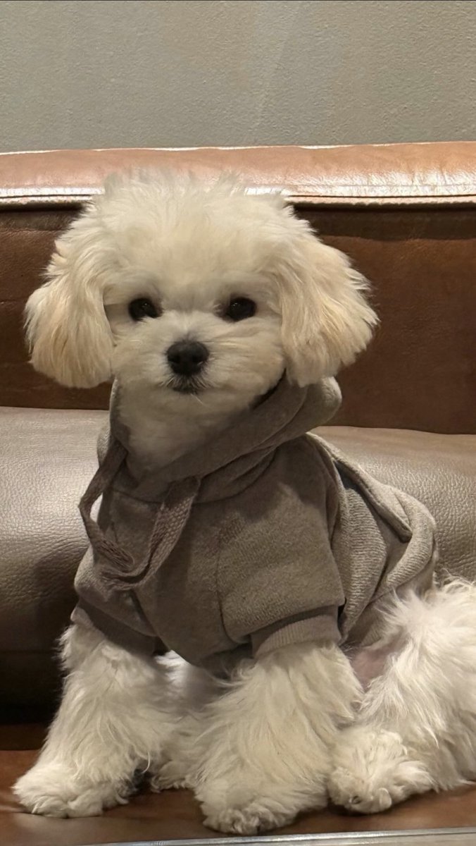 bestofchanis's tweet photo. I vote #aespa for Fans’ Choice Female #2026MAMAVOTE https://t.co/YT74no2mFp