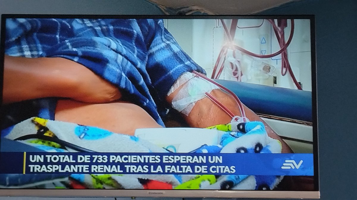 FRANK34542341's tweet photo. @Lalizen_Ziada @RC5Oficial Sobre esto publica pues mi 🐶  troll  pagado con dinero público esto le interesa al pueblo esto es lo que necesita solucionarse para el pueblo sino te inmutas sobre esta situación y el abandono por parte del payaso @DanielNoboaOk eres una atrasa país,  publicando pendejada !!! https://t.co/JSwGXF4TjH