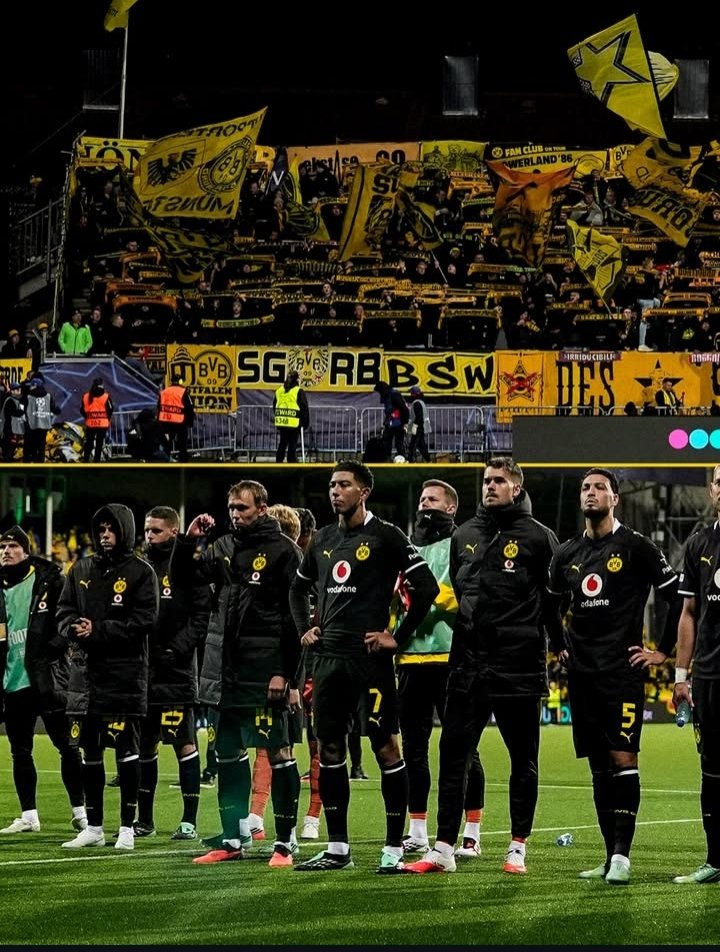JB7BRASIL's tweet photo. 📸 Jobe e sua equipe, agradecendo o apoio da torcida após o final do jogo de ontem https://t.co/cquYKqi8Kh