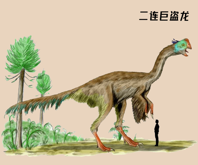 santiaji16's tweet photo. Check out this early dromaeosaur, Balaur bondoc Wait no—wait, the dinosaur with sharp claws and fluffy mane, early raptor Sinornithosaurus! Oh right, the early raptor (鬃���盗, stylized as early raptor with fluffy neck mane) that’s a feathered dinosaur ancestor! https://t.co/b0UtrqdS8s