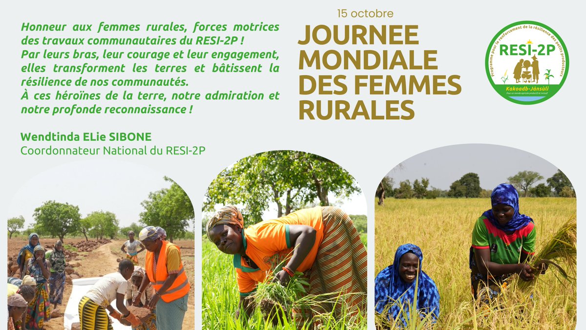 ProgrammeResi2P's tweet photo. Happy International Day of Rural Women! 
RESI-2P, driving a productive and inclusive agricultural world!

#RuralWomen #Resilience #MAERAH #IFAD #GEF https://t.co/OW4ozTxJ1g