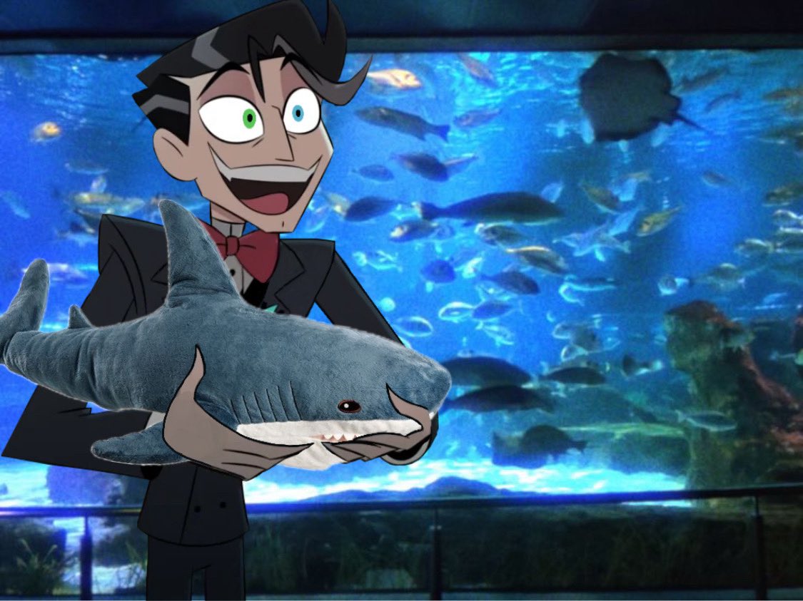 Voidcepti0n's tweet photo. Vincent is having a jolly good time at the aquarium 🐟 https://t.co/3WSrKvDfyg