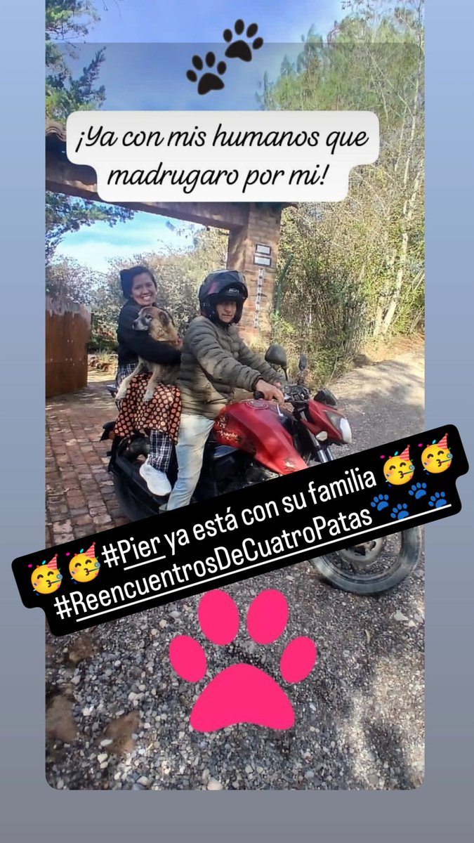margaritavela's tweet photo. 🥳🥳#Pier ya está con su familia🥳🥳
#ReencuentrosDeCustroPatas🐾🐾
@MONYRODRIGUEZOF
@piedrahitangela https://t.co/pwO6bRtbxr