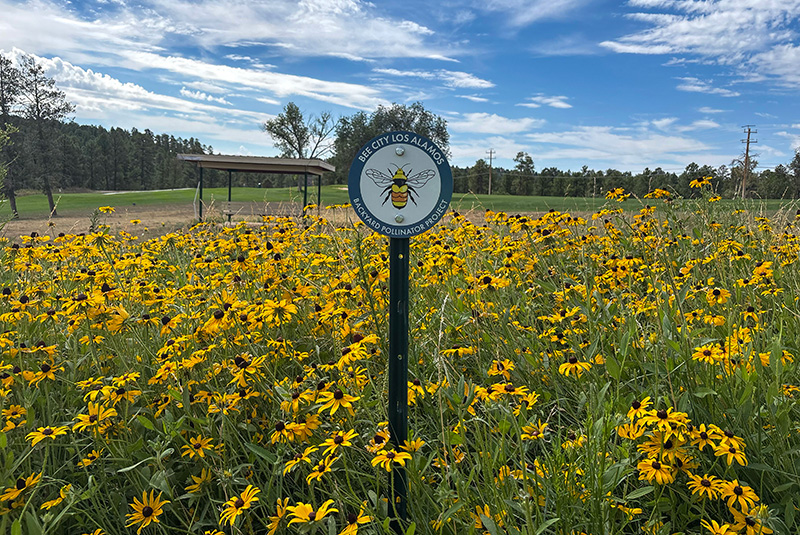 GCM_Magazine's tweet photo. Learn how New Mexico's Los Alamos Community Golf Club transformed an eyesore into a pollinator paradise. https://t.co/RisUqDVWLU @GCSAA https://t.co/B4oSCvbJMQ
