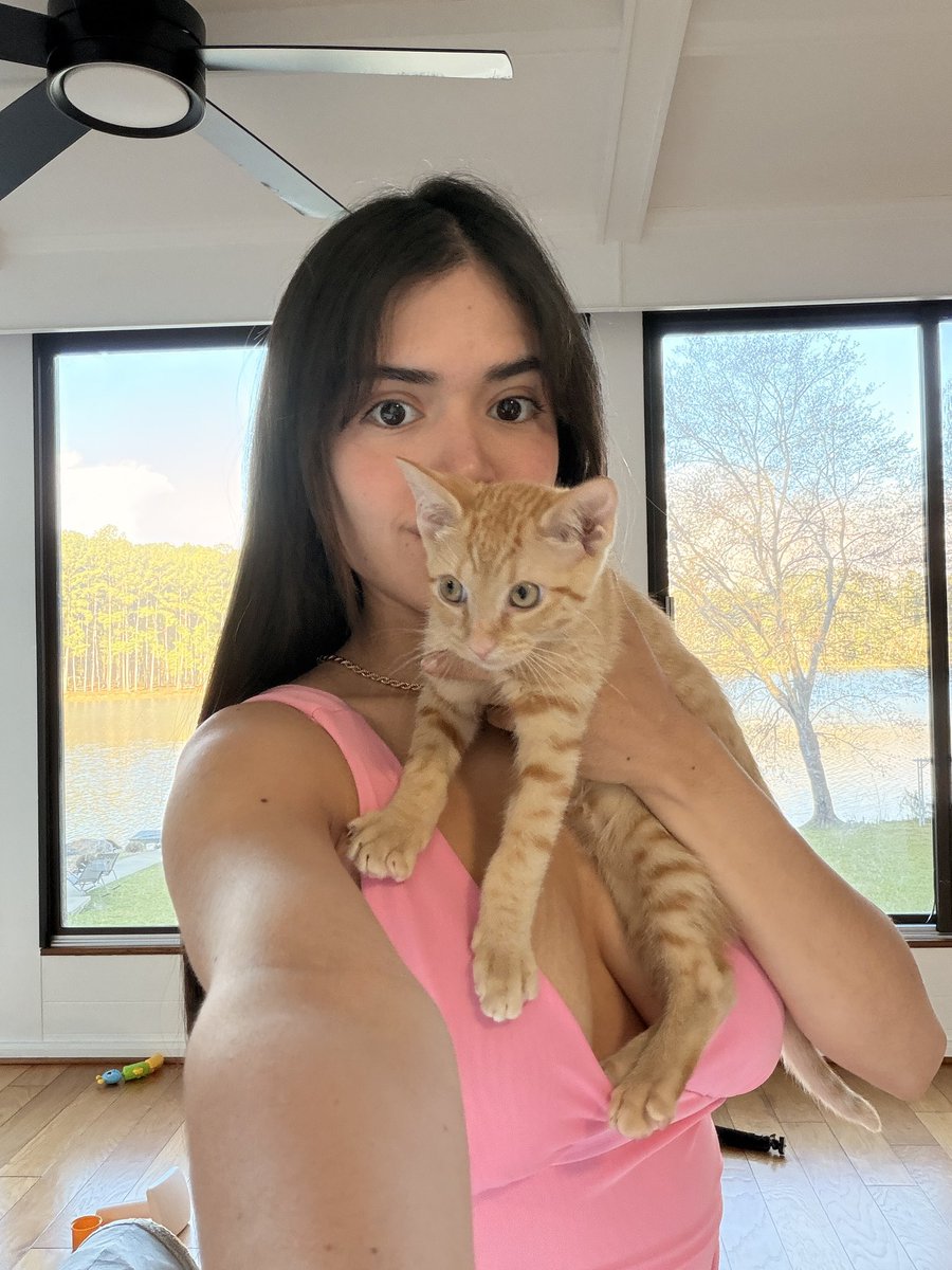 DonnaMary_2's tweet photo. took these last month ❤️🥰 I miss chapee 🐈 https://t.co/I0xBUt01BQ