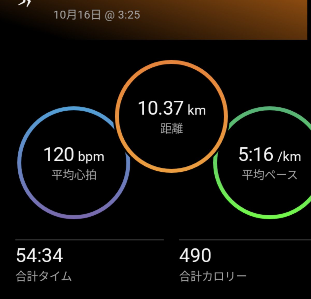 OQje5's tweet photo. 朝ラン🏃‍♂️
10kmジョグ。
昨日買ったペガサス41でラン。
今さらのペガサスだけどやっぱり王道シューズっ感じ。

ランニング始めて最初のシューズがペガサス40だったからただいまって感じでした（笑）

#garmin #beatyesterday https://t.co/bmbryvNe4j