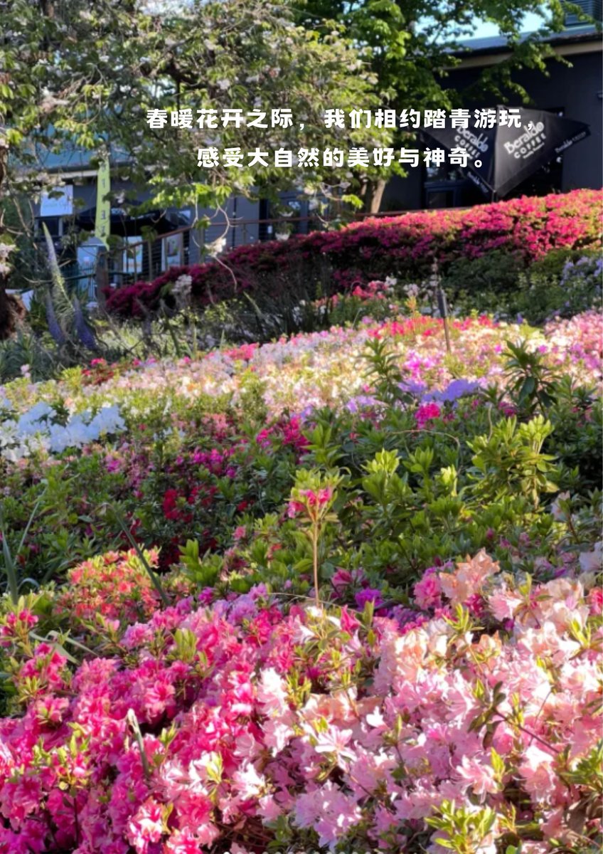 asamhadl47's tweet photo. In the garden, the truth is warm; don't let it die easily. https://t.co/4ZcC73odmm