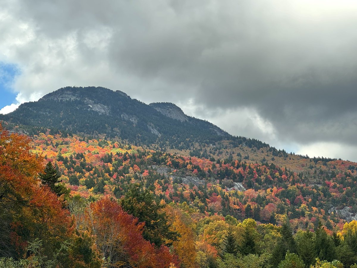 HenryWX's tweet photo. Color is finally starting to pop on Grandfather Mountain, NC 🍂 https://t.co/ABSmcDSAJ9