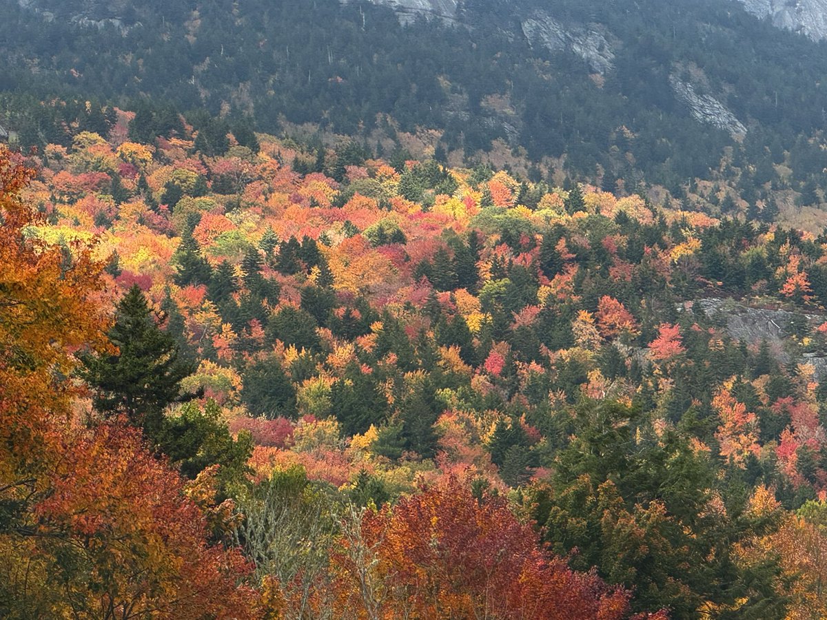 HenryWX's tweet photo. Color is finally starting to pop on Grandfather Mountain, NC 🍂 https://t.co/ABSmcDSAJ9