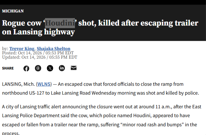 AlexandreRezek's tweet photo. Police officers shot and killed a cow named Houdini after it escaped its trailer???
THE POLICE KILLED THIS COW FOR NO REASON
Reports are saying that they struggled to immobilize the cow, so they decided to SHOOT HIM.
Due to the “inability to safely contain the animal and the ongoing risk to public safety,” the decision was made to euthanize the cow. The cow was shot and killed by local law enforcement.
https://t.co/MTMyBikvBi
police posting
https://t.co/G9VeLZyTGh