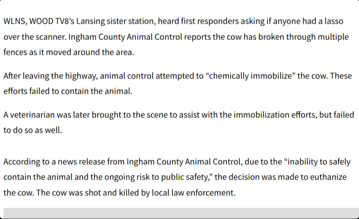 AlexandreRezek's tweet photo. Police officers shot and killed a cow named Houdini after it escaped its trailer???
THE POLICE KILLED THIS COW FOR NO REASON
Reports are saying that they struggled to immobilize the cow, so they decided to SHOOT HIM.
Due to the “inability to safely contain the animal and the ongoing risk to public safety,” the decision was made to euthanize the cow. The cow was shot and killed by local law enforcement.
https://t.co/MTMyBikvBi
police posting
https://t.co/G9VeLZyTGh
