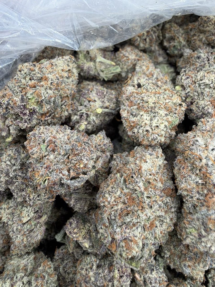 DarkDispensary's tweet photo. Azul poppers

QP$150
HP$300
1P$600

https://t.co/NwsQIQgyTs https://t.co/lnu7kV3OjO
