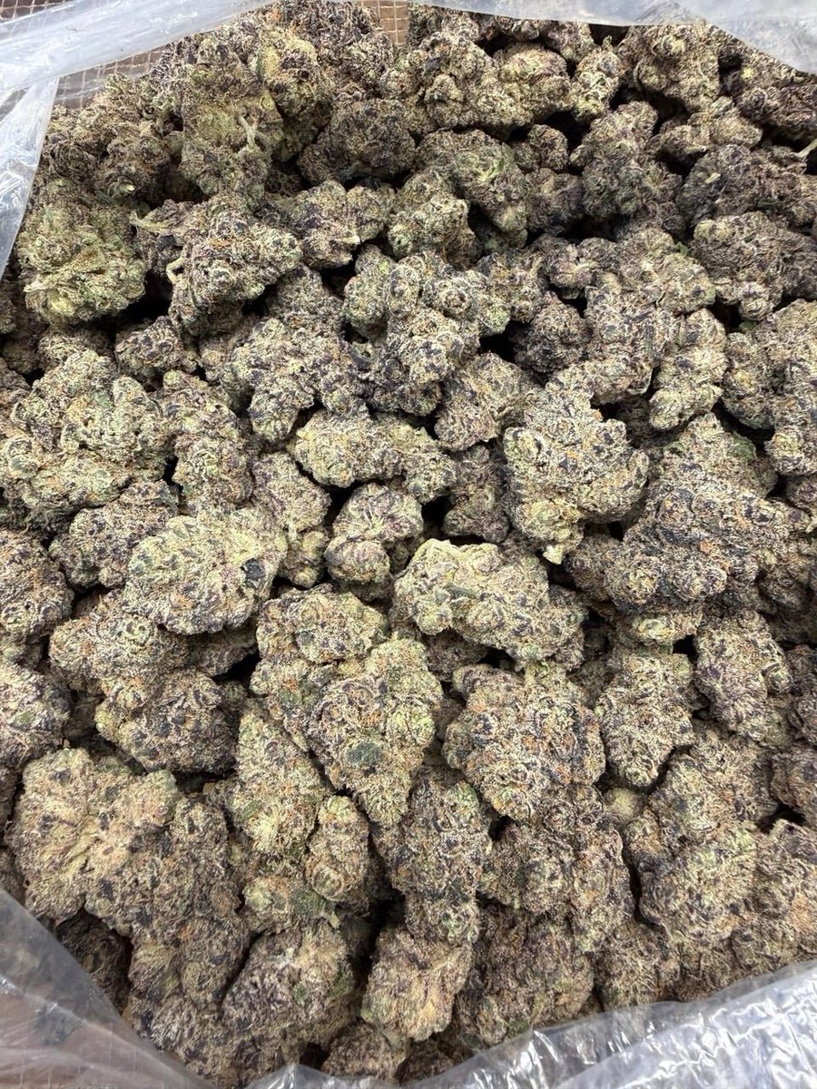 DarkDispensary's tweet photo. Churro Gelato 🍧 

_____________________________

QP….$450

HP…….$800

LB………$1200

Tap in 👇 
https://t.co/NwsQIQgyTs https://t.co/jPVYcQn9y2