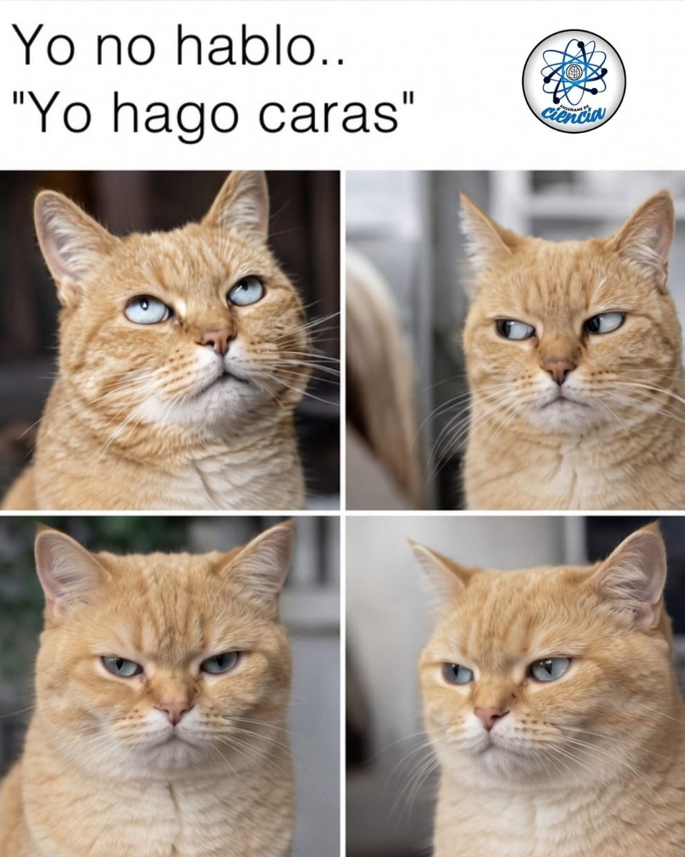 EnsedeCiencia's tweet photo. 🤭 https://t.co/vISIebjfgH