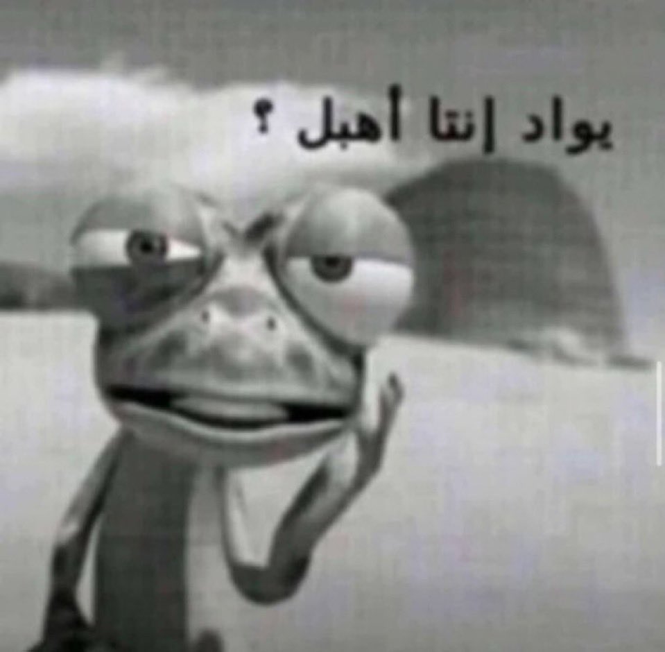 _majid_Q's tweet photo. @asaa329 اشبو دا https://t.co/93P2nzcyPA