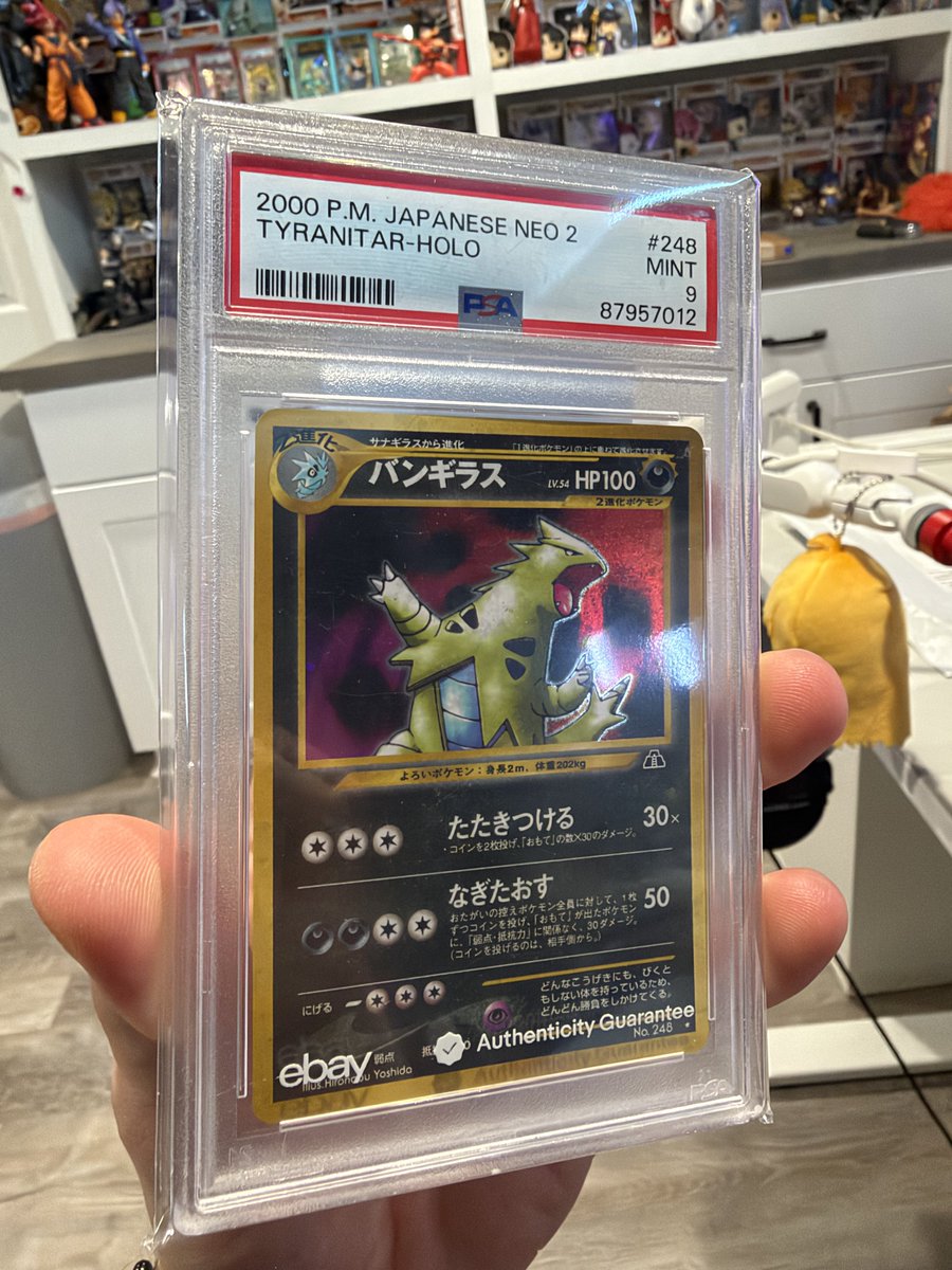 ojified's tweet photo. New slab pick ups https://t.co/YGV2IYODGk