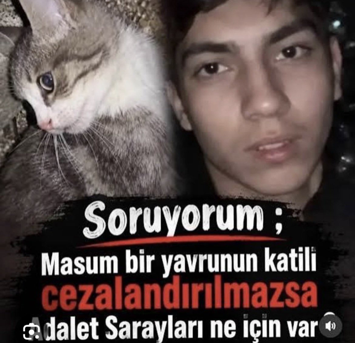 ananakayanyldiz's tweet photo. Bu küçük cana yapılanların videosunu izlediğimden beri iyi değilim üzerinden 1 aydan uzun süre geçti ve bu katiller cezasını almadı üstüne üstlük unutuldu bazıları insanlığını kaybetmiş olabilir ama biz etmedik gereken yapılsın artık @adalet_bakanlik @EmniyetGM https://t.co/sC9odHUXgh