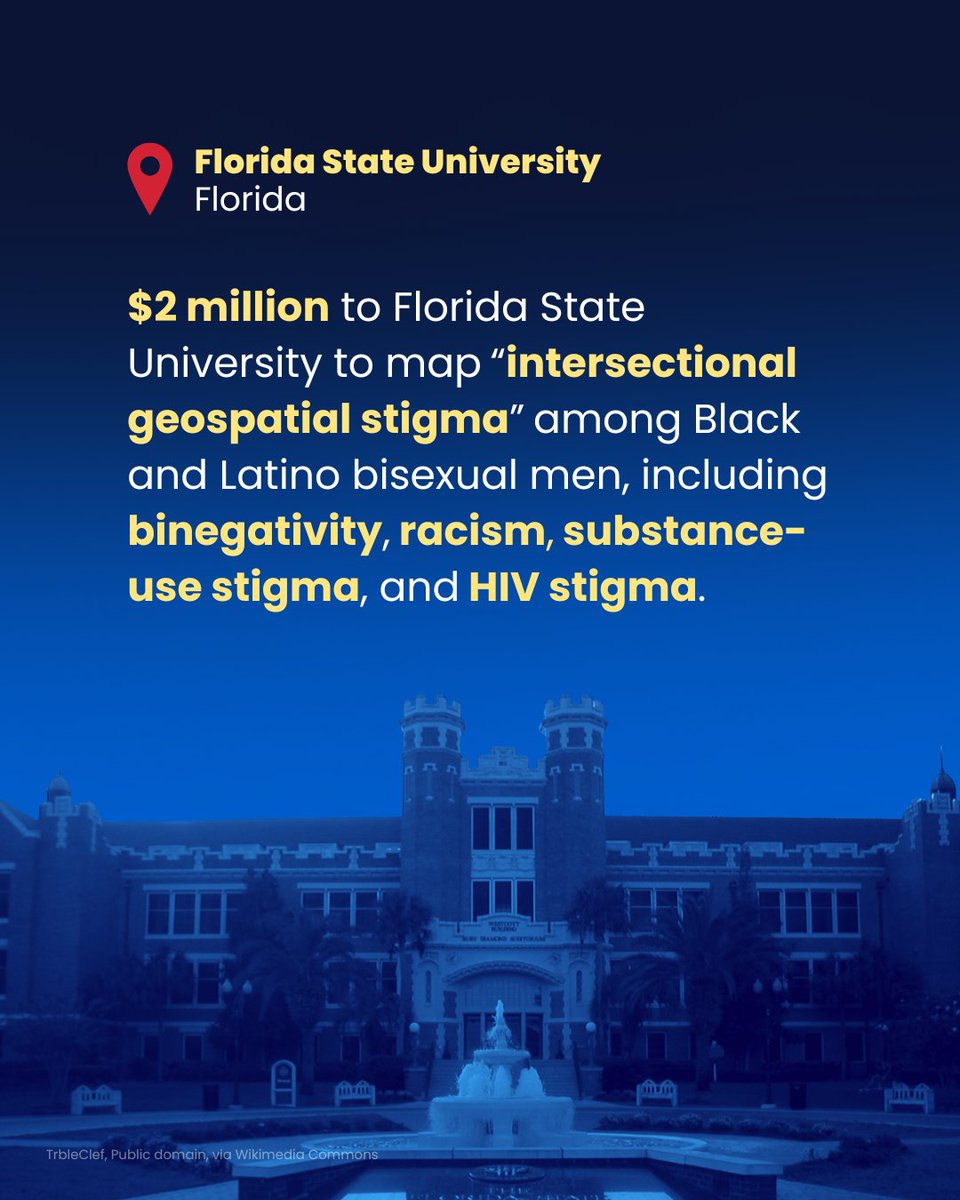 DFIPolicy's tweet photo. DFI and the @LegInsurrection Foundation uncovered millions in grant funding for an identity-obsessed “intersectionality” ideology that has evaded the Trump administration's strong efforts to root out unlawful discrimination. https://t.co/oZ8ynj1vSR