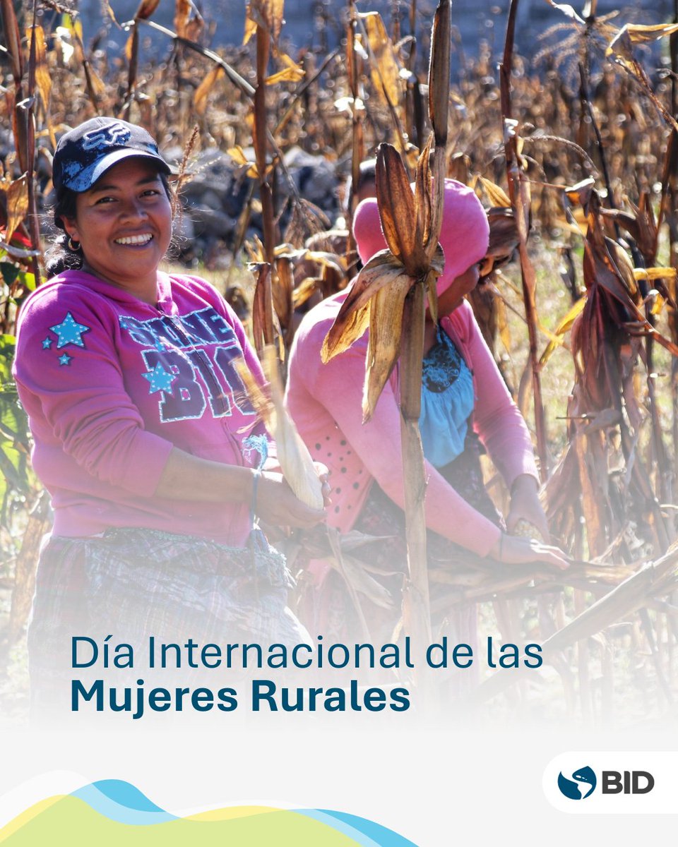 el_BID's tweet photo. ¿Por qué quienes contribuyen a llevar los alimentos a nuestras mesas enfrentan mayores dificultades para acceder a una alimentación adecuada? 

🌾 En #AméricaLatina y el #Caribe, las mujeres representan alrededor del 36% de la fuerza laboral agroalimentaria y desempeñan un papel clave en la producción, el procesamiento y la distribución de alimentos. Sin embargo, enfrentan altos niveles de inseguridad alimentaria y dietas de menor calidad.

En el #DíaInternacionalDeLasMujeresRurales, conoce en nuestro blog los datos detrás de esta paradoja y qué podemos hacer para abordarla: https://t.co/KNjhdlouFx