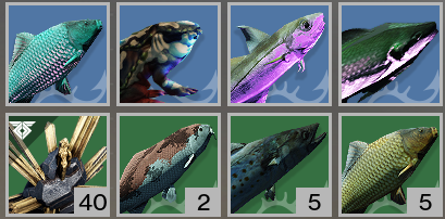 chnsvw's tweet photo. fih

https://t.co/tz8UrJkpFl
#Destiny2 https://t.co/NHZqRJceBW