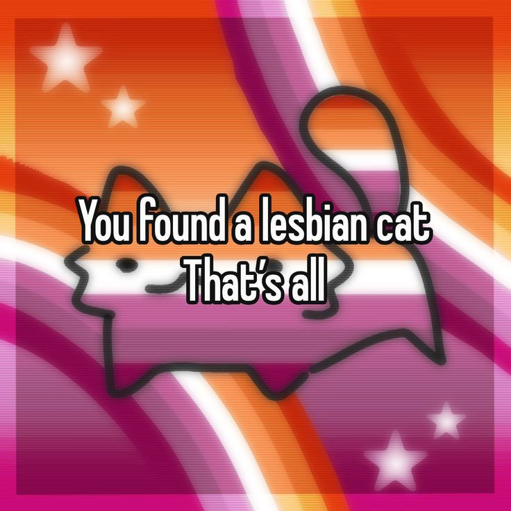FollowAllGirlss's tweet photo. Repost if you enjoy lesbian cat &amp; want a follow https://t.co/apVybrIiK6