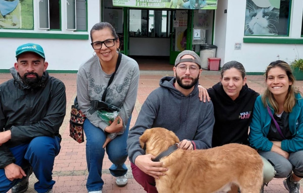 AnimalesBOG's tweet photo. Bogotá lanza programa interinstitucional de perros de terapia para fortalecer el bienestar de las personas mayores. 

Más información 👇🏽🌐 https://t.co/q0vVg7nQik

@AHLLAMAS https://t.co/aDYcX0DrAY