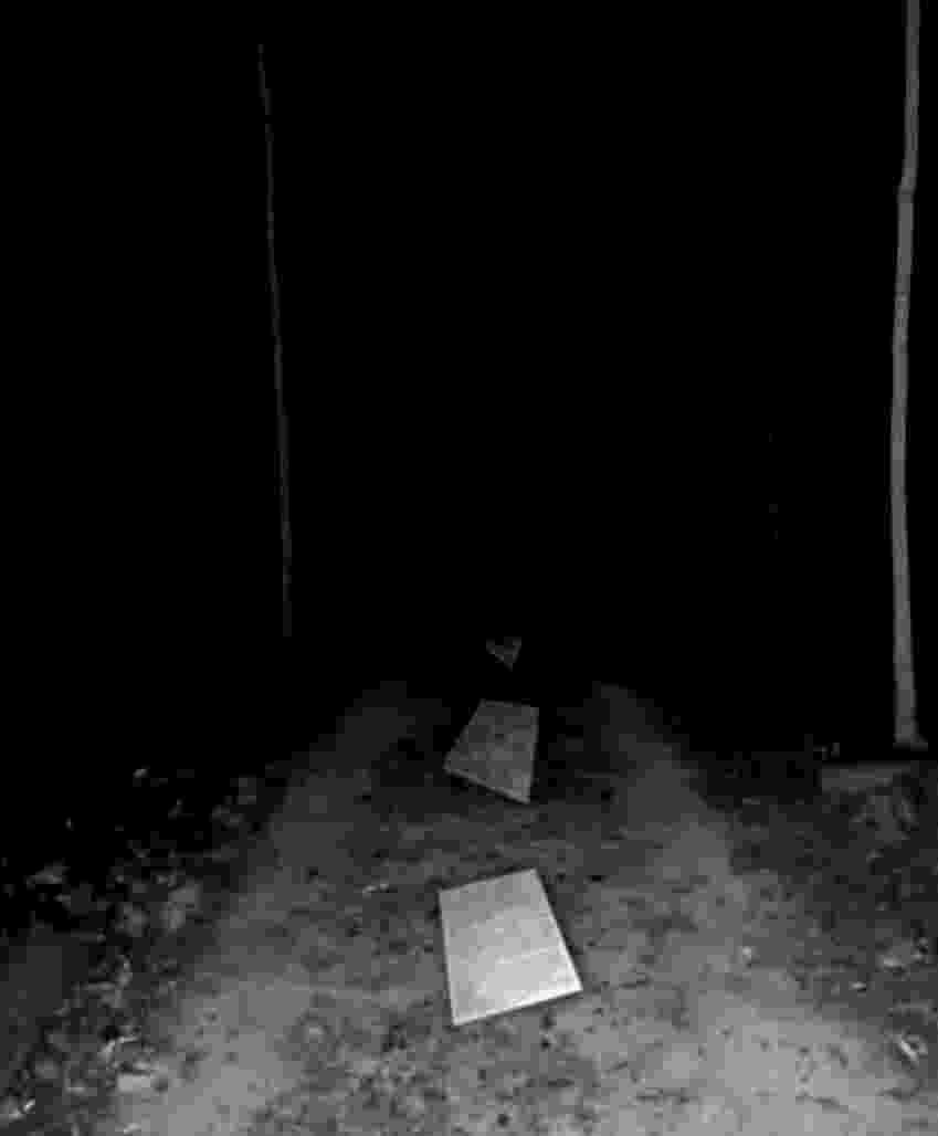 _PROGENITOR_'s tweet photo. THE                  PAPER                 TRAIL                     WAITS                FOR                  YOU    . https://t.co/NQaj9rK7Bw