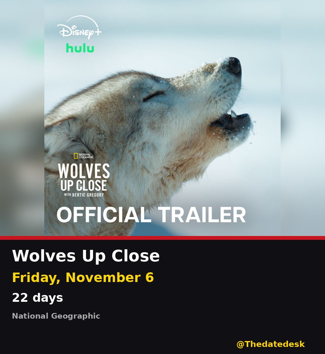 Thedatedesk's tweet photo. Bertie Gregory reunites with the Arctic wolf pack he has followed for seven years. Wolves Up Close premieres Friday, November 6 on National Geographic, streaming same day on Disney+ and Hulu.
22 days out. @bertiegregory #WolvesUpClose
https://t.co/yJoZMIxM6g https://t.co/uxEjC9wfVT