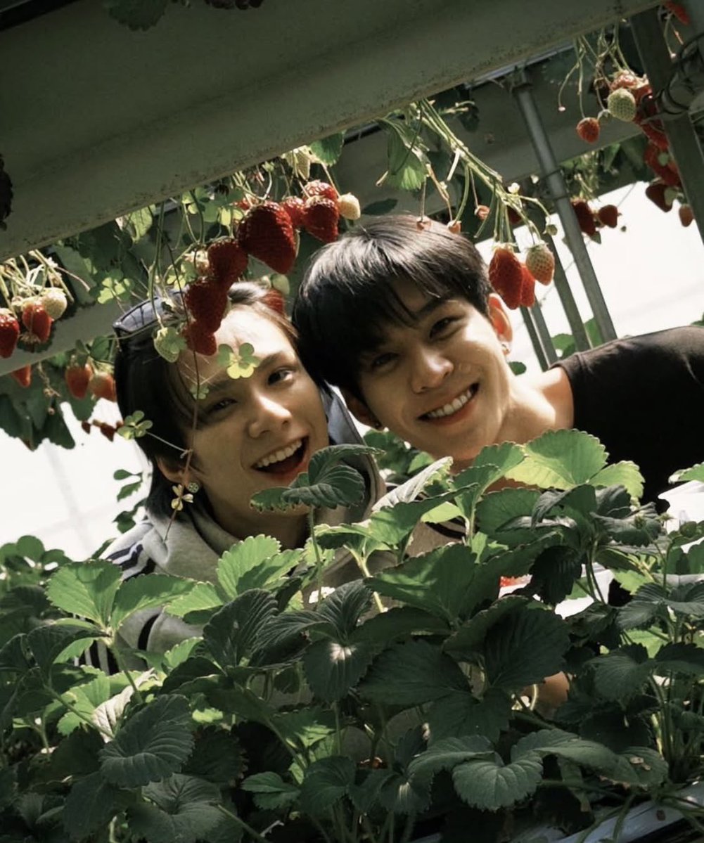 jaipikk's tweet photo. looking for bl moots !!

ུ ❃۪   ‘05 

ུ ❃۪   she/her 🌷

ུ ❃۪   main ships are #teeteepor, #auausave, #williamest and #thomaskong but i love most dmd ships! anyone is welcome! :3

ུ ❃۪   mdni please‼️ https://t.co/ODq8YtFbIC
