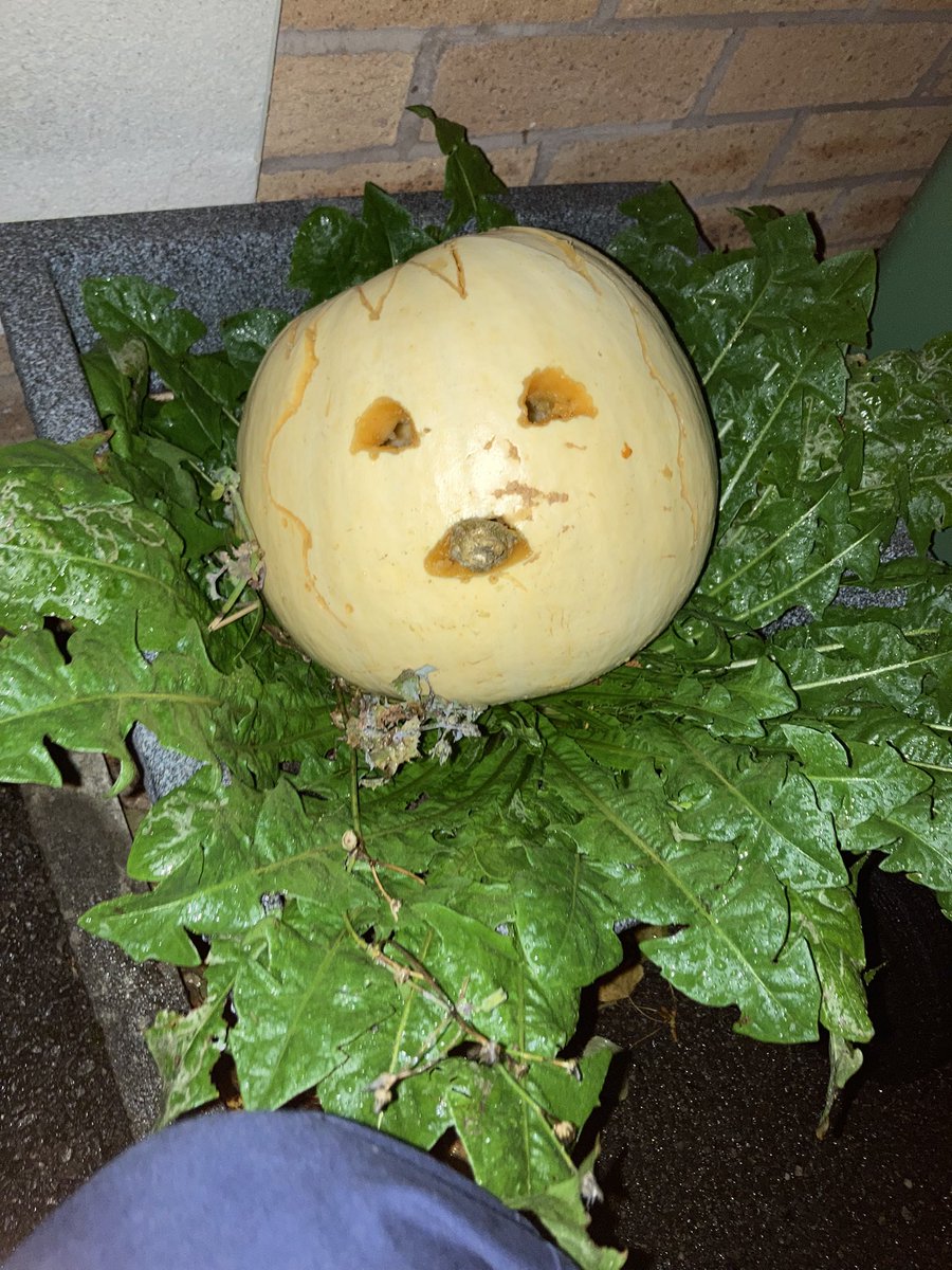 el_was_heree's tweet photo. pumpkin catastrophe… we only had 20 mins ok? 
ignore it’s white and has a stem in its mouth https://t.co/AUTmWYKBli