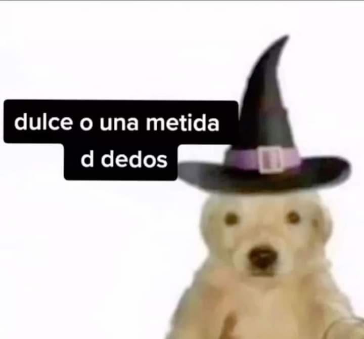 Nevillemipelado's tweet photo. Ola amirguibiris, se van a disfrazar para halloween, y de qué? (Me voy a robar la idea más barata) https://t.co/C3B9CGCGg6