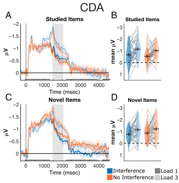 eren_gunseli's tweet photo. Does knowing that distractions are coming change how we use working memory?

In two EEG experiments, anticipating interference did not change how strongly previously learned information was reactivated in working memory.

https://t.co/FDoo2IG1gC https://t.co/RnowgvAdcz