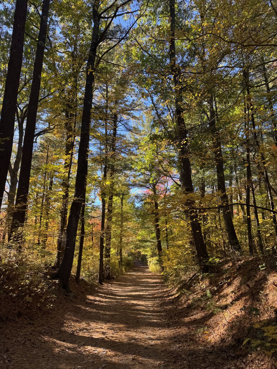 themoonsfave's tweet photo. got lost on my walk and it ended up being over 2 hrs. but the most beautiful place to get lost in https://t.co/G93QeO1RGt
