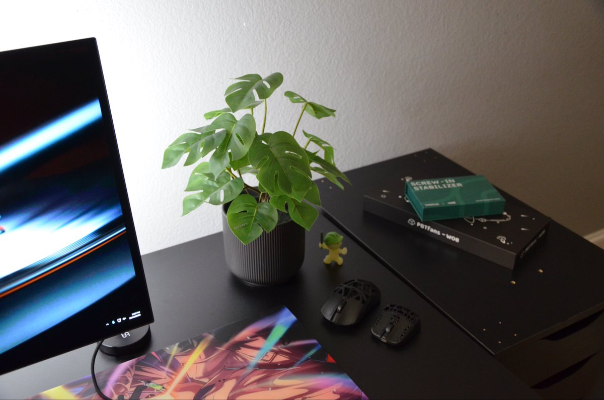 thai_setup tweet picture
