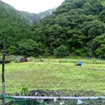 Photo by 大阪府オートバイ練習場（富田林市／泉南市／ほぼ能勢町な猪名川町（開業予定）） (@PF8_Platform8)