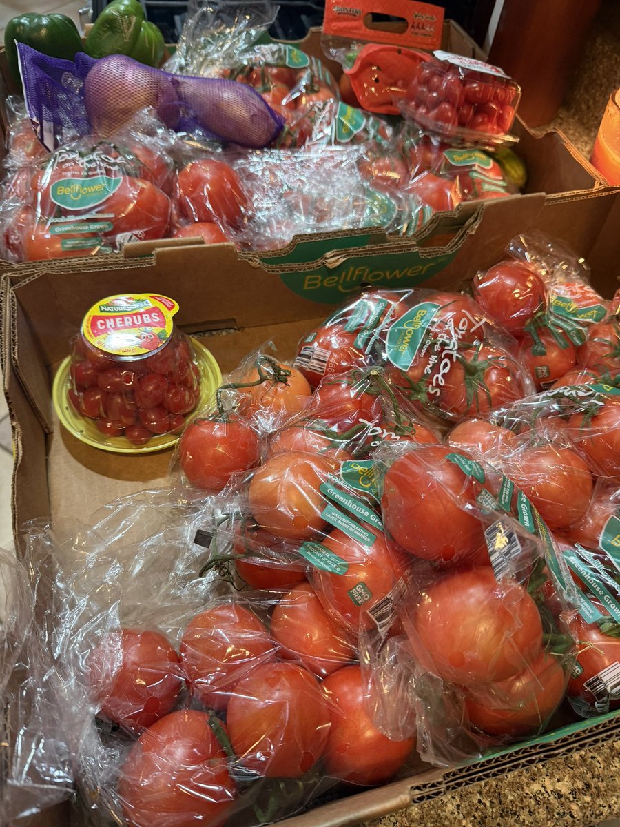 ToavaH's tweet photo. Making another round of salsa and tomato sauce. Plants are going good and seeds had dried out amazingly. 

Old lady // homestead hobbies. https://t.co/Hob3cxzBCp
