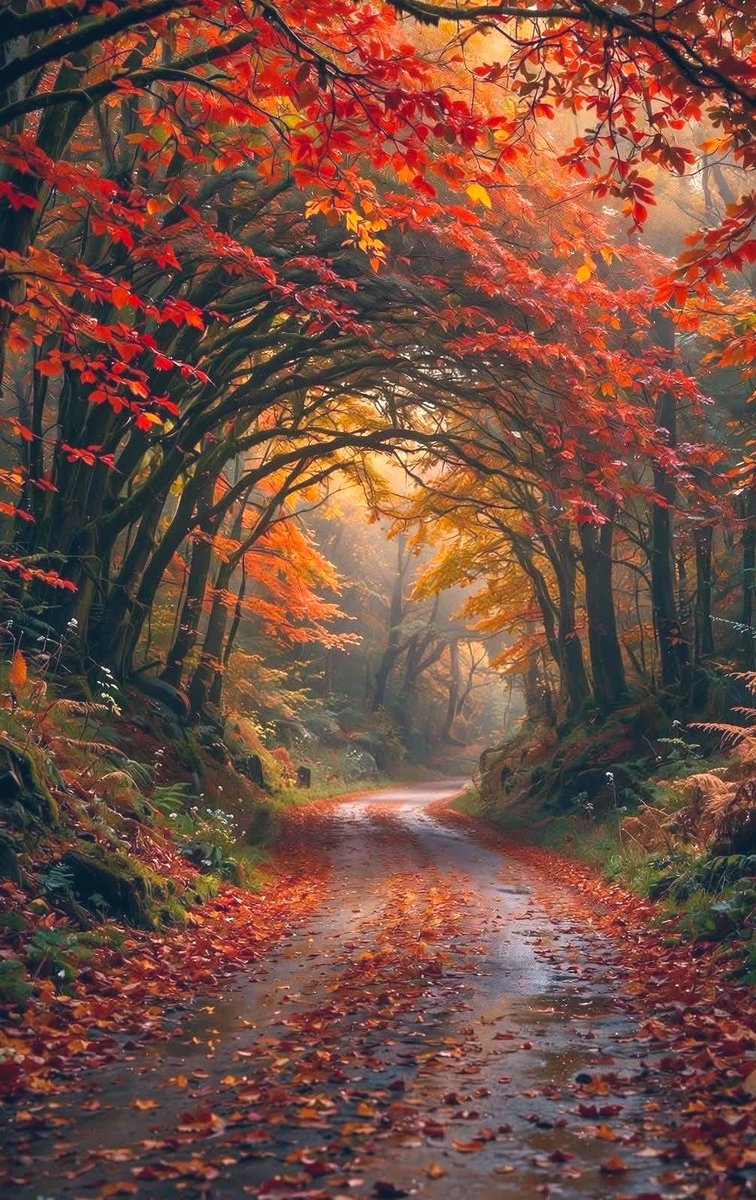 InsatiableVVIP's tweet photo. Good morning friends 🌻🍂💗 https://t.co/VBq27BVslN