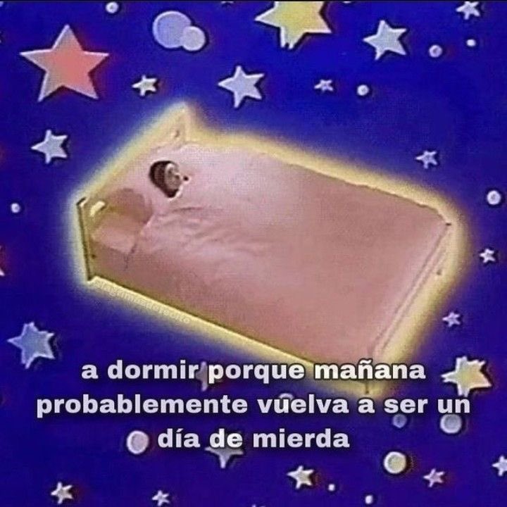 ALEEMINH0's tweet photo. buenas noches familia! https://t.co/rPIlHowaeL
