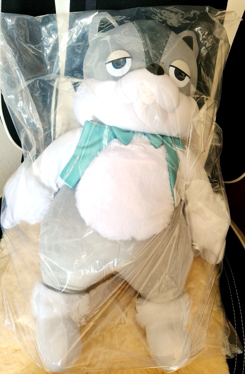 SHURI_st205's tweet photo. カリュクスくん思ってた倍くらいデカかった！等身大ってやつか
これは…ど、どこに置いておけばええんや… https://t.co/EZA5lsnDOq