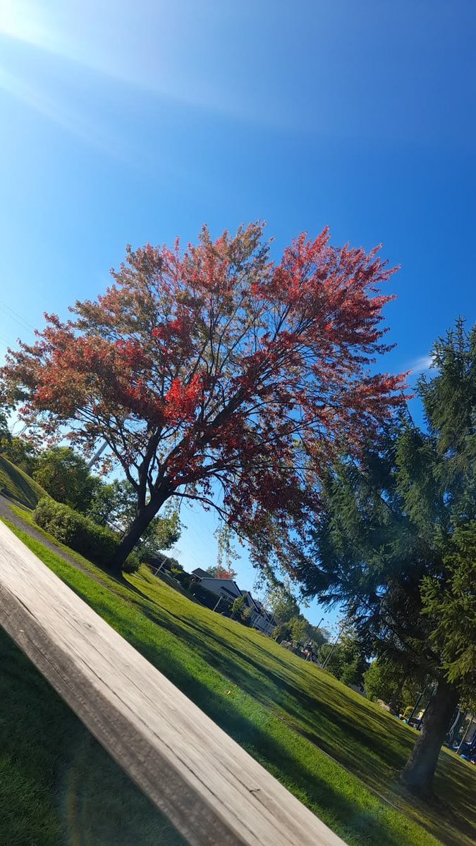 itsBilal's tweet photo. Good morning! Happy Friday everyone. Hope you have a beautiful day ahead 🌞🌷🍂🍁 https://t.co/jsAsYJwxSg